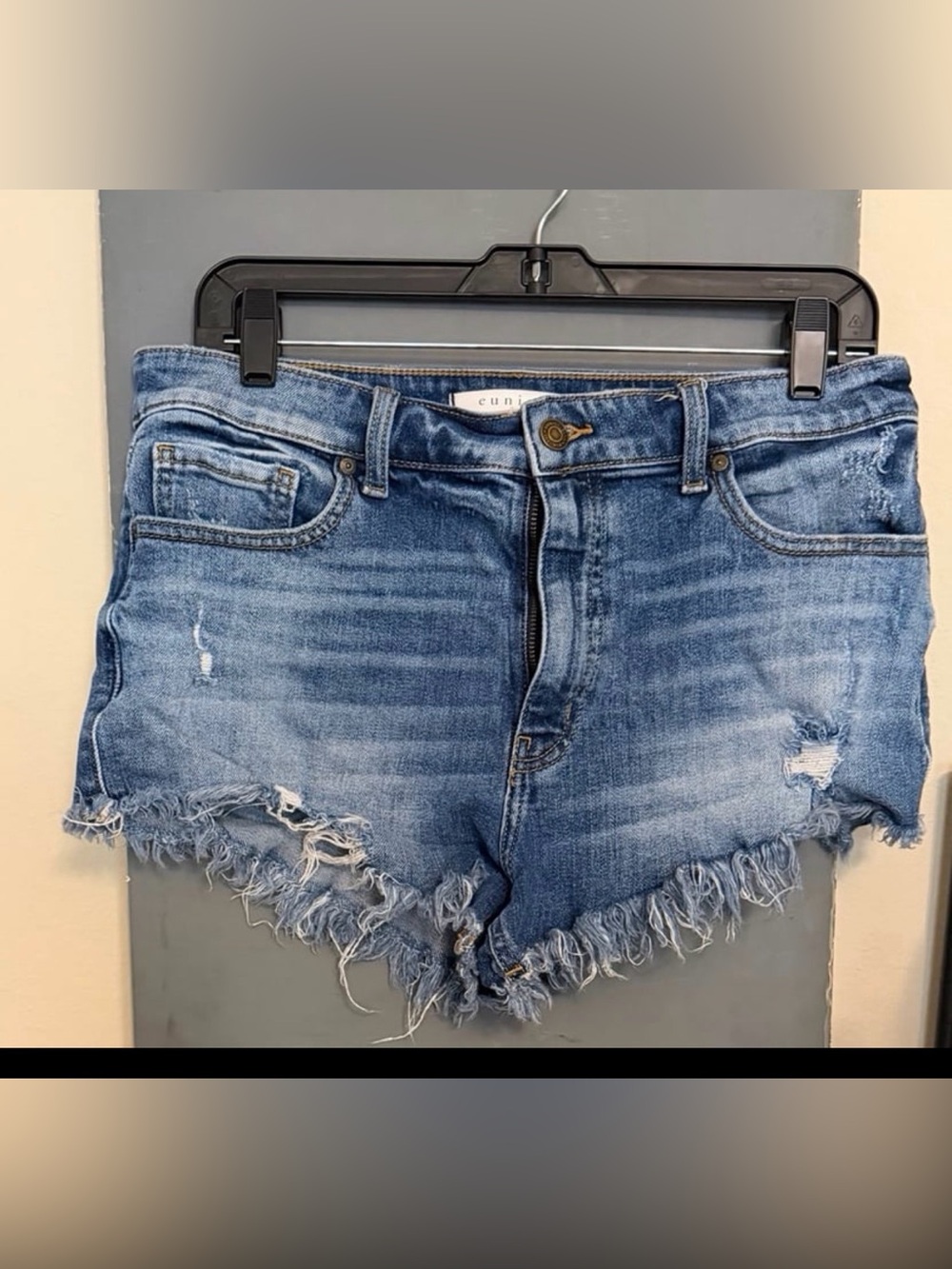 eunina Distressed Frayed Hem Jean Shorts - Blue